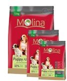 Сухой корм для щенков Molina Puppy All Breed